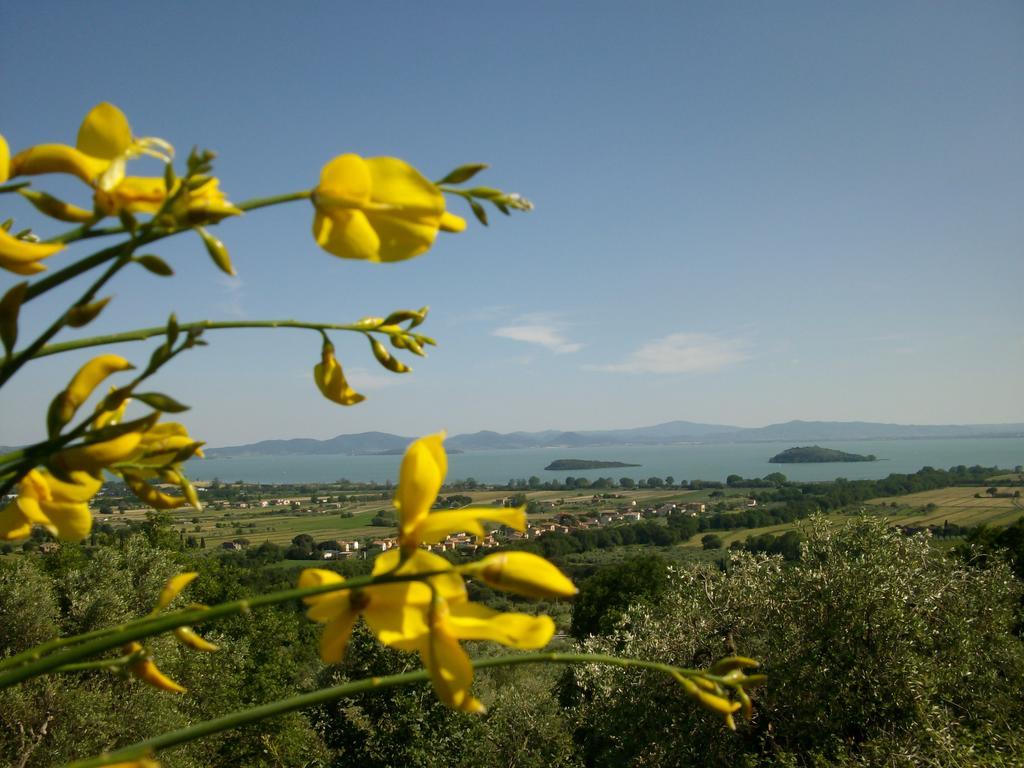 La Loggina Maxi Con 2 Giardini Recintati Privati Tuoro sul Trasimeno